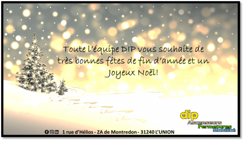 L'équipe DIP vous souhaite un Joyeux Noël et une très belle année 2021!